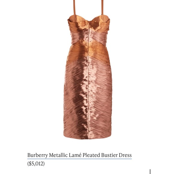 Burberry Prorsum Runway Metallic Lamé Pleated Bustier Dress Bodycon IT 42 / US 8 - Picture 13 of 15